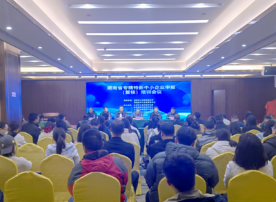 永州市工信局成功举办2023年专精特新中小企业申报培训会，助力中小企业管理升级