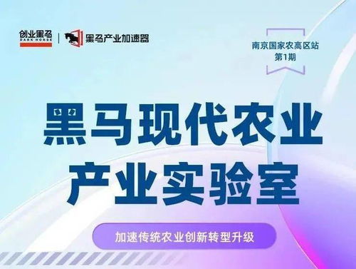 全国仅招募30位 两大机构共同助力农业与食品产业现代化升级——中小企业管理咨询专项计划